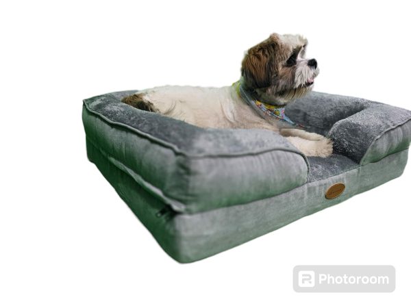 Cama ortopédica para perro